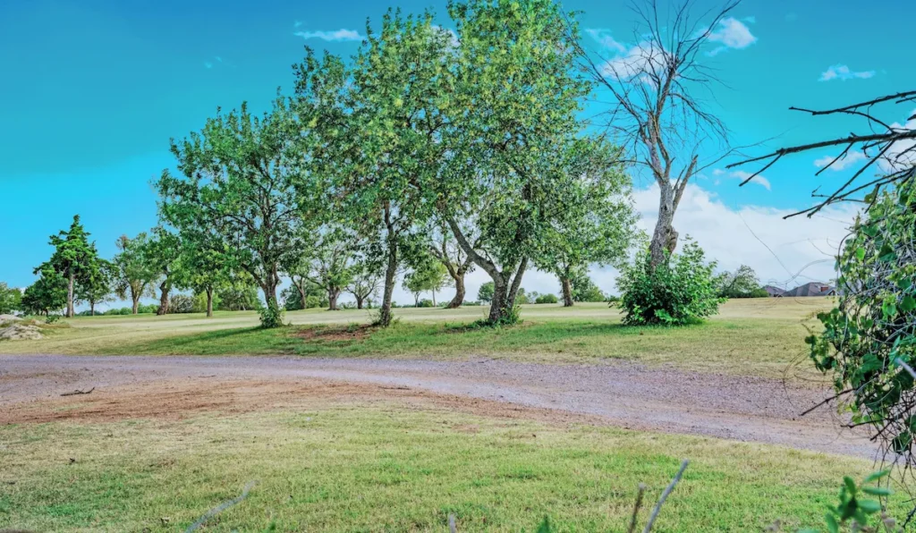 A spacious country home right in the city with the full golf course view <span class="mfrsm-badge mfrsm-badge-available">Available now</span>